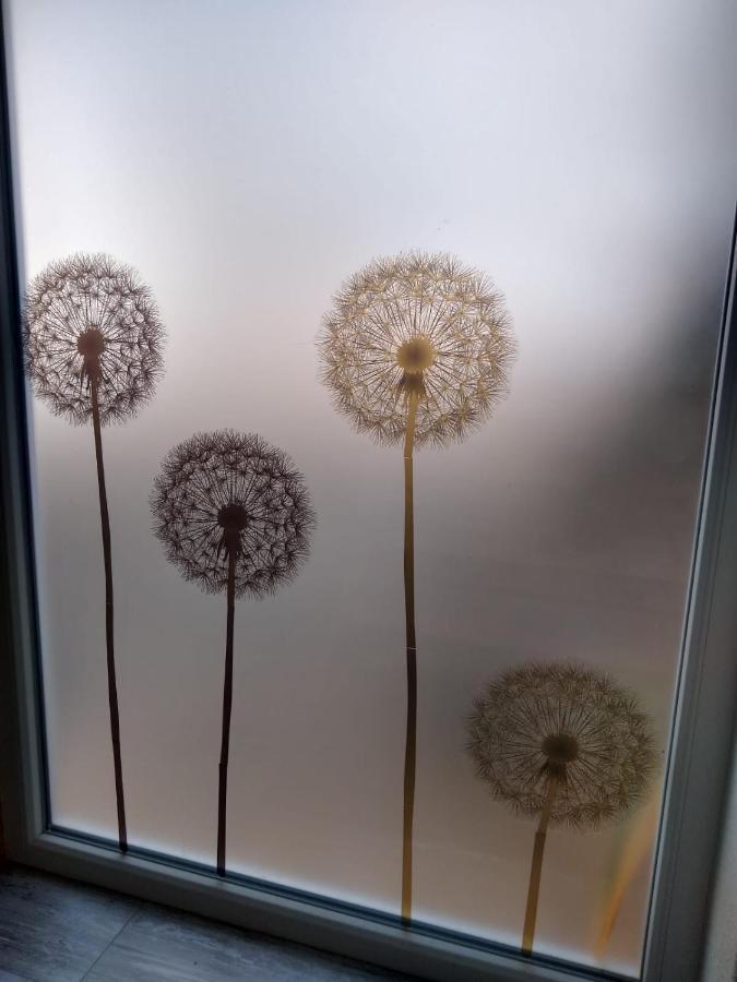 Ferienwohnung Loewenzahn Mueddersheim Vettweiss ภายนอก รูปภาพ